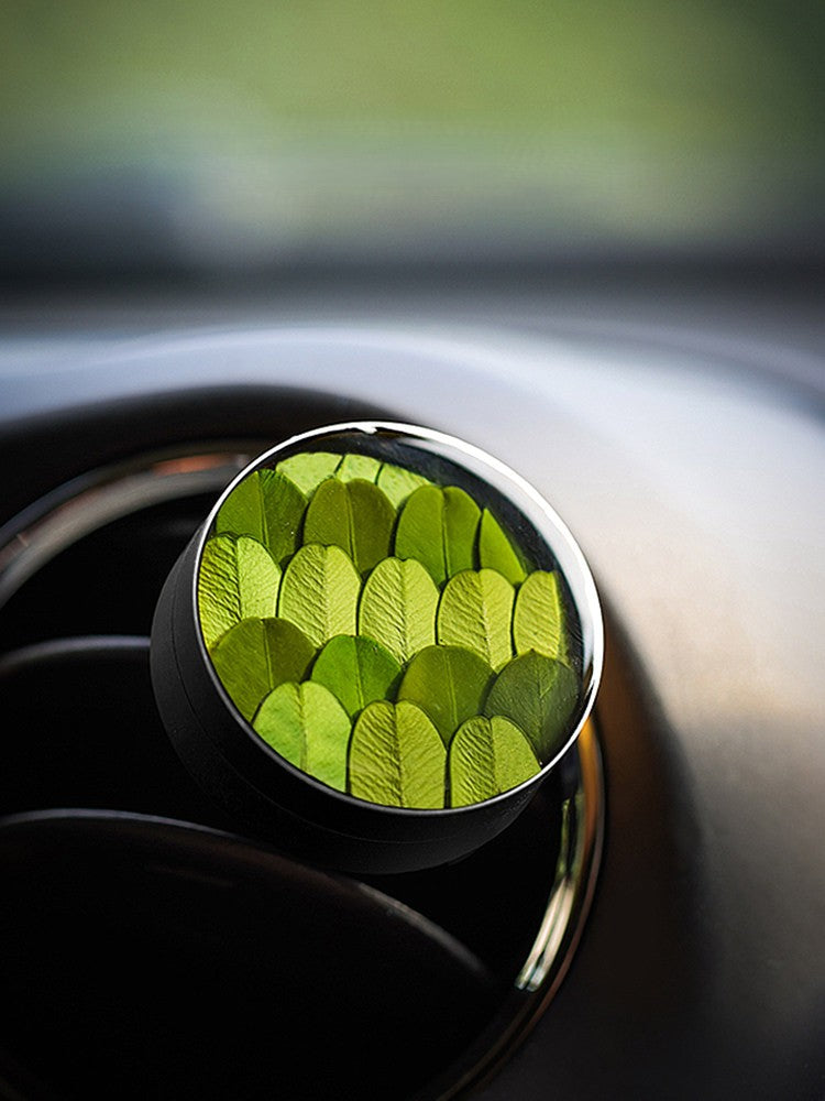 Handcrafted Boxwood Leaf Aromatherapy Diffuser | Car & Home | Natural Botanical Specimen