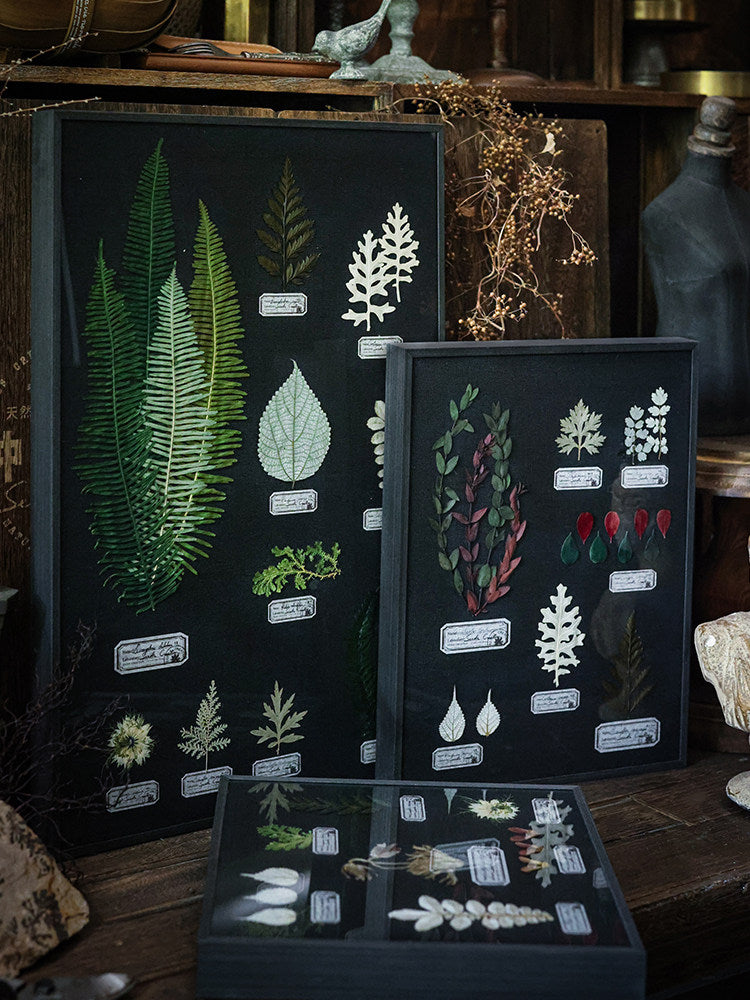 Night Garden Botanical Specimen Art — Multi-Species, Color-Preserved | Black Linen Background