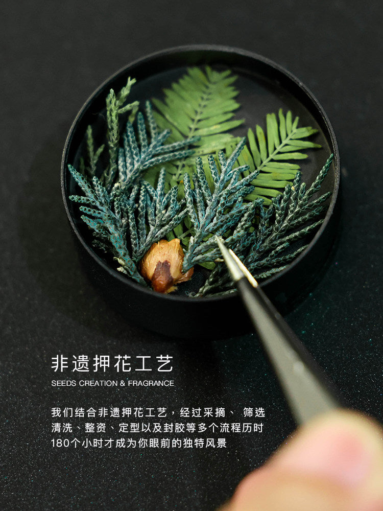 Handcrafted Norwegian Forest Aromatherapy Diffuser | Car & Home | Botanical Resin