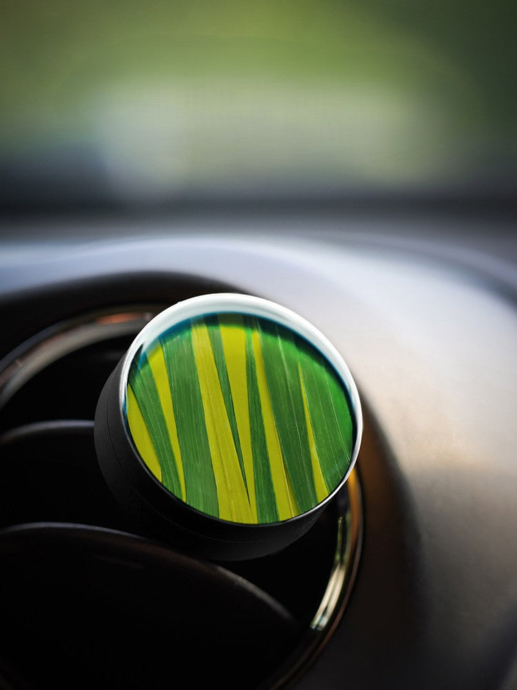 Handcrafted Botanical Specimen Car & Home Aromatherapy Diffuser