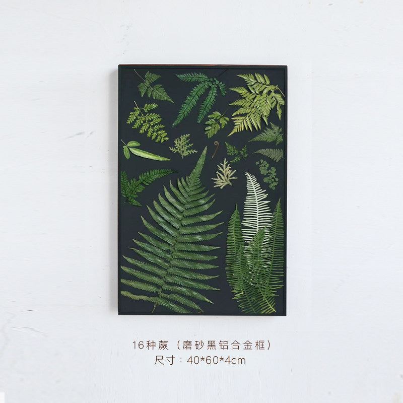 Natural Fern Botanical Specimen Wall Art — Wooden Base, Acrylic Press & Black Aluminium Frame