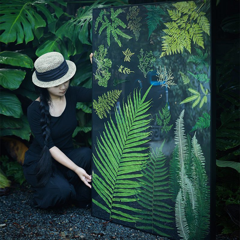 Natural Fern Botanical Specimen Wall Art — Wooden Base, Acrylic Press & Black Aluminium Frame