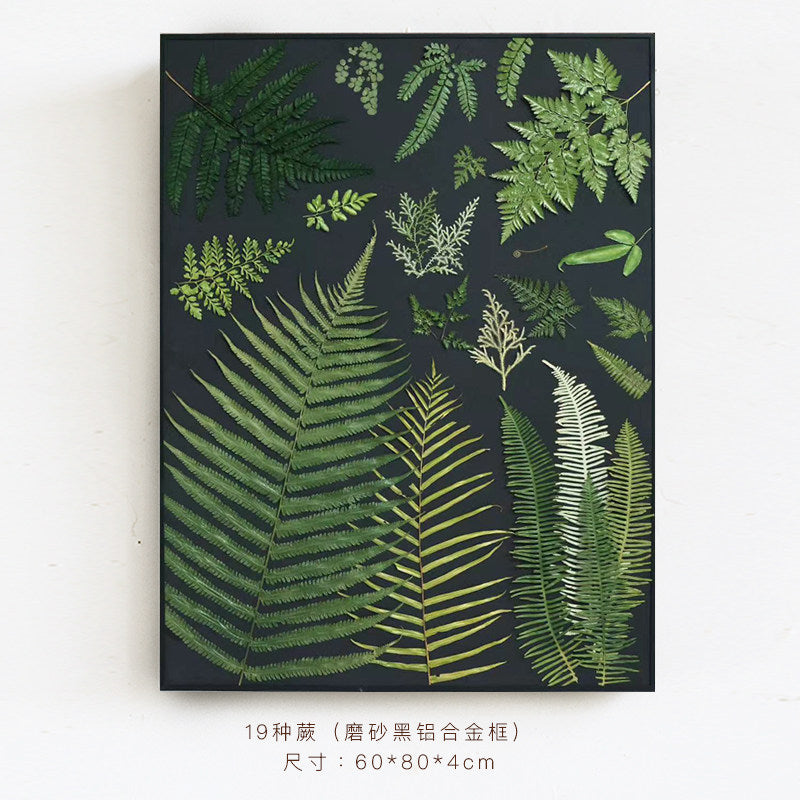 Natural Fern Botanical Specimen Wall Art — Wooden Base, Acrylic Press & Black Aluminium Frame