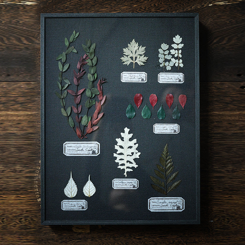 Night Garden Botanical Specimen Art — Multi-Species, Color-Preserved | Black Linen Background