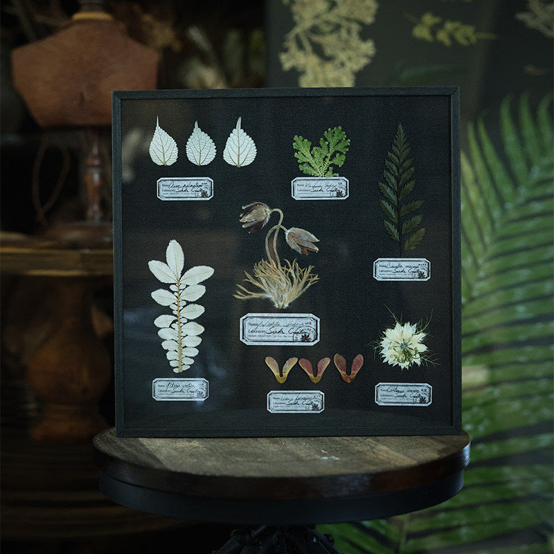 Night Garden Botanical Specimen Art — Multi-Species, Color-Preserved | Black Linen Background