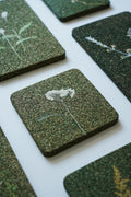 Pressed Botanical Art | Natural Plant Dyes | Yunnan Oak Bark Decorative Piece