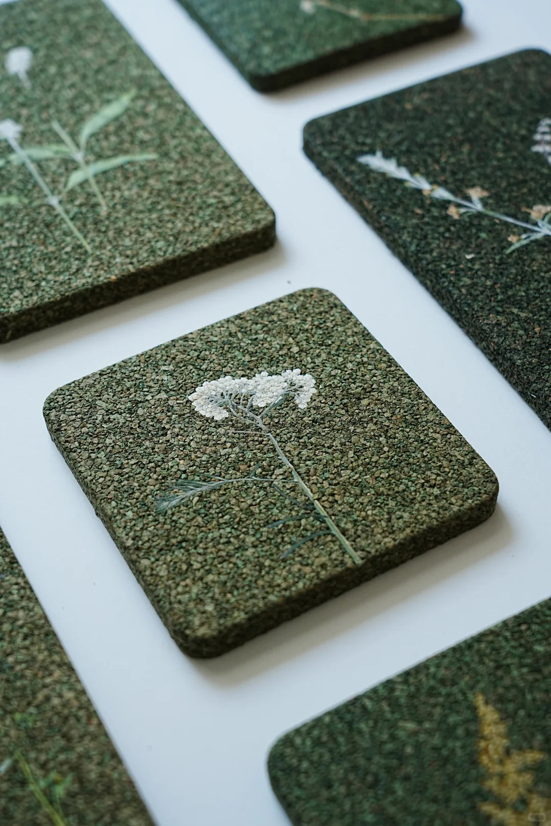 Pressed Botanical Art | Natural Plant Dyes | Yunnan Oak Bark Decorative Piece