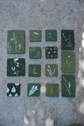 Pressed Botanical Art | Natural Plant Dyes | Yunnan Oak Bark Decorative Piece